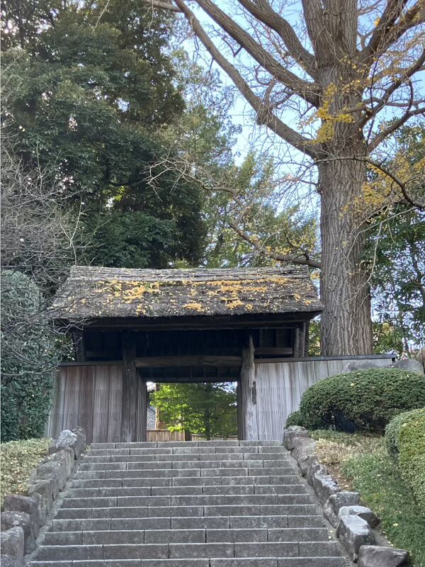 松戸 戸定邸 冬の庭園と折りたたみ自転車K3