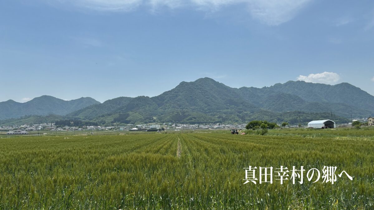 信濃の山と麦畑