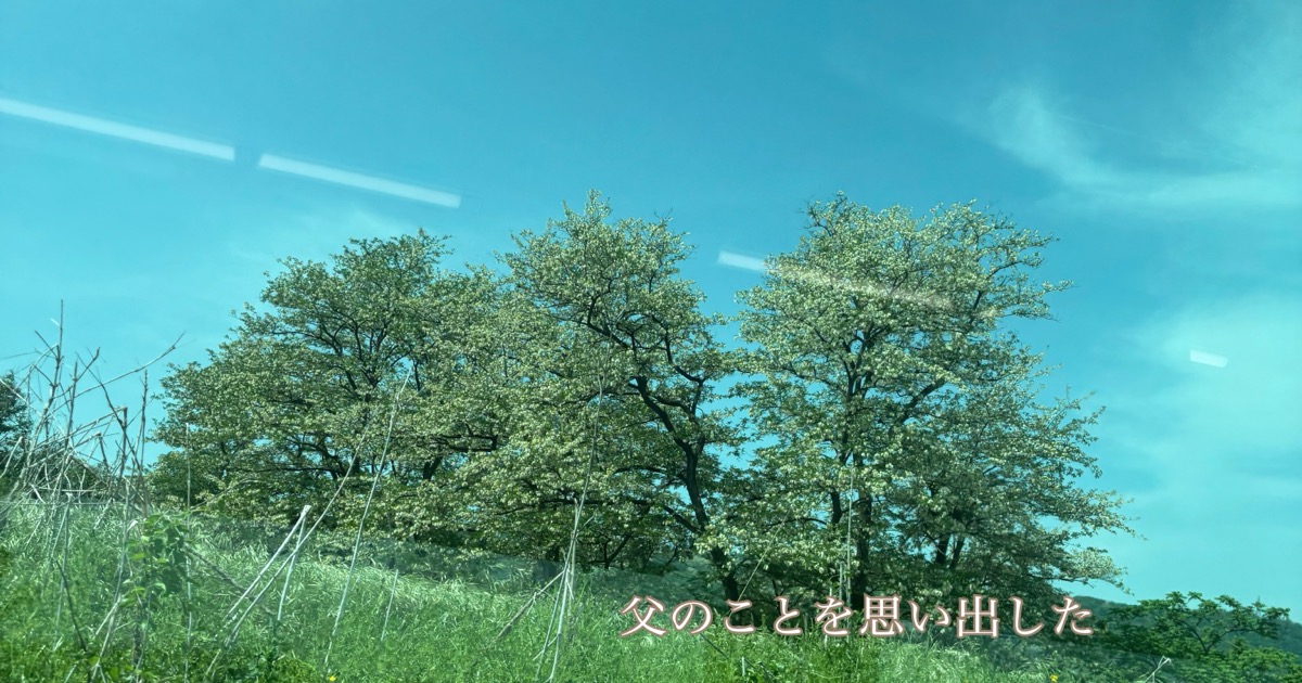 車窓と記憶