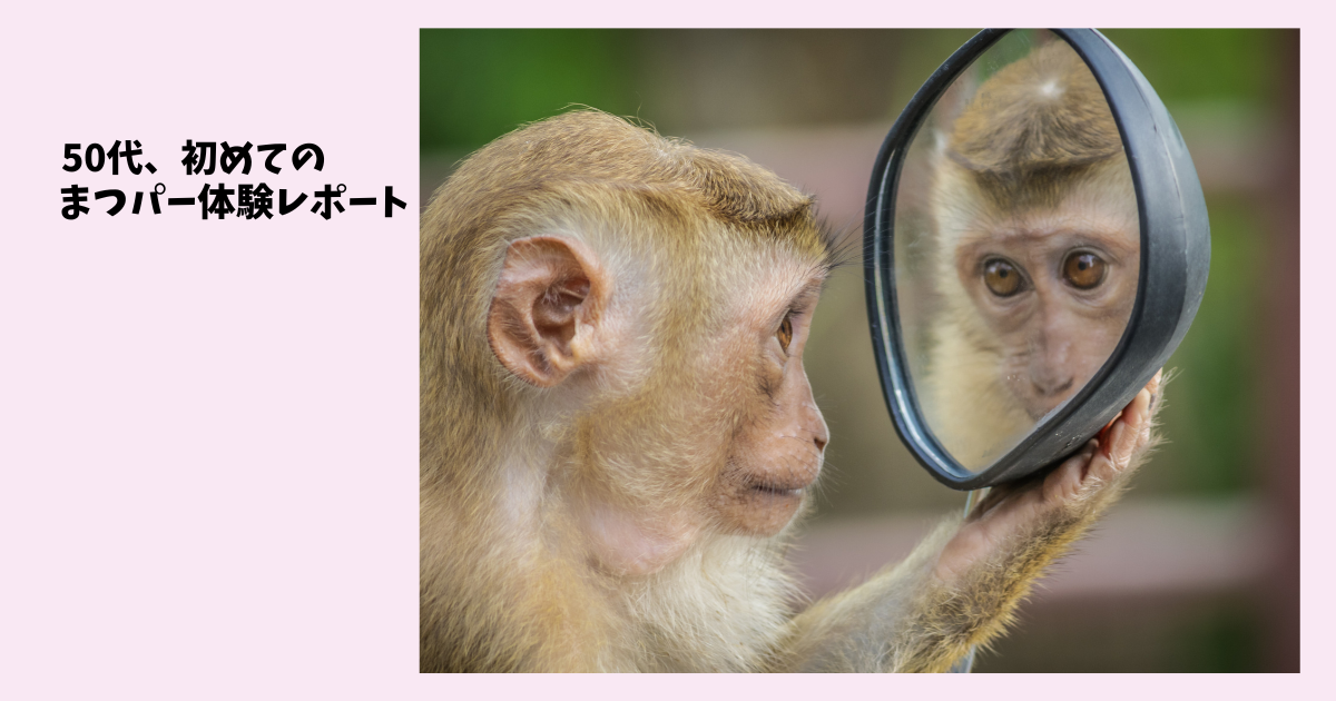 覗き込むお猿